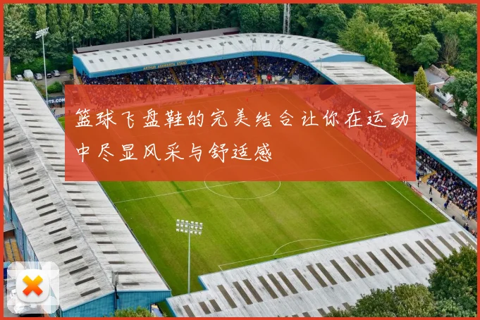 篮球飞盘鞋的完美结合让你在运动中尽显风采与舒适感