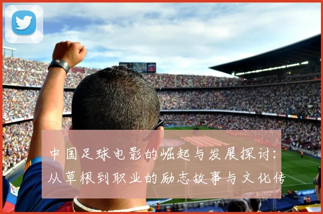 中国足球电影的崛起与发展探讨：从草根到职业的励志故事与文化传承