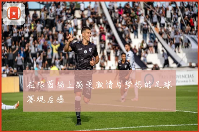 在绿茵场上感受激情与梦想的足球赛观后感