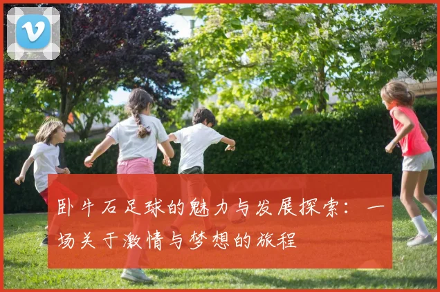 卧牛石足球的魅力与发展探索：一场关于激情与梦想的旅程