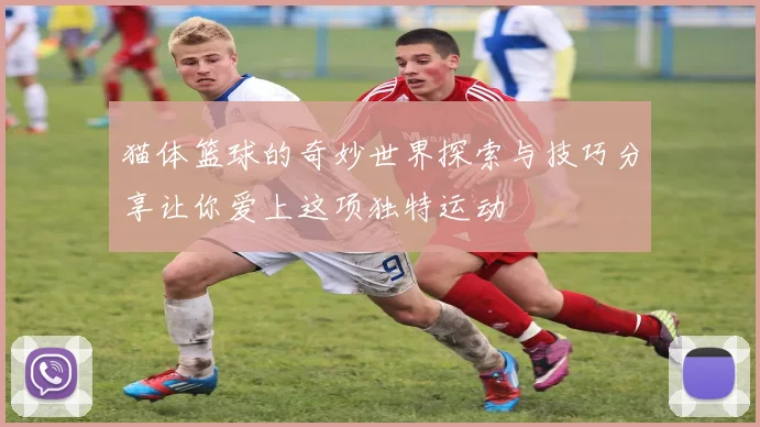 猫体篮球的奇妙世界探索与技巧分享让你爱上这项独特运动