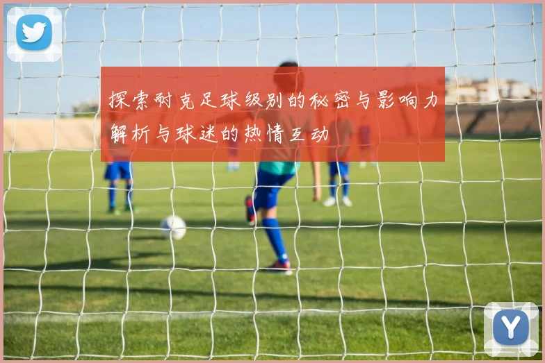 探索耐克足球级别的秘密与影响力解析与球迷的热情互动