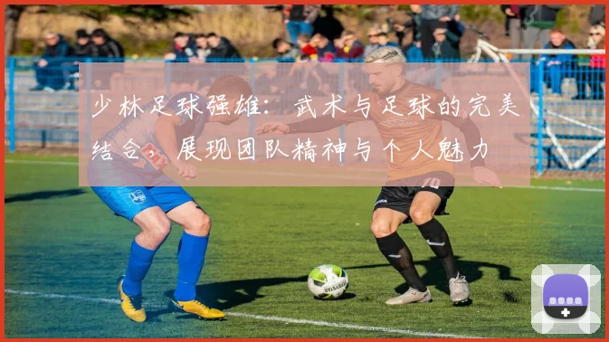 少林足球强雄：武术与足球的完美结合，展现团队精神与个人魅力