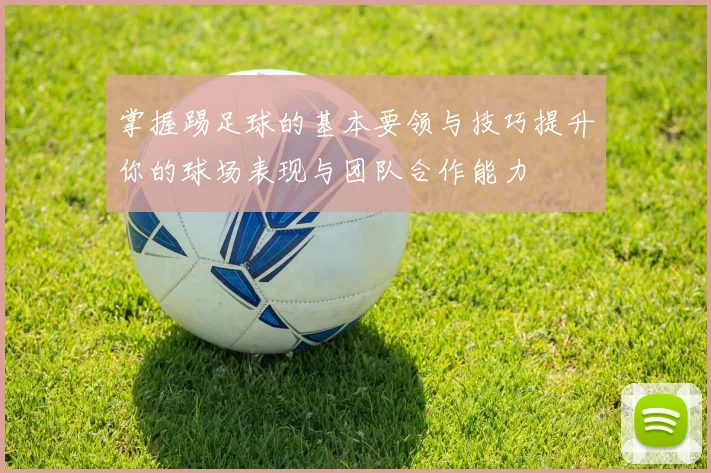 掌握踢足球的基本要领与技巧提升你的球场表现与团队合作能力