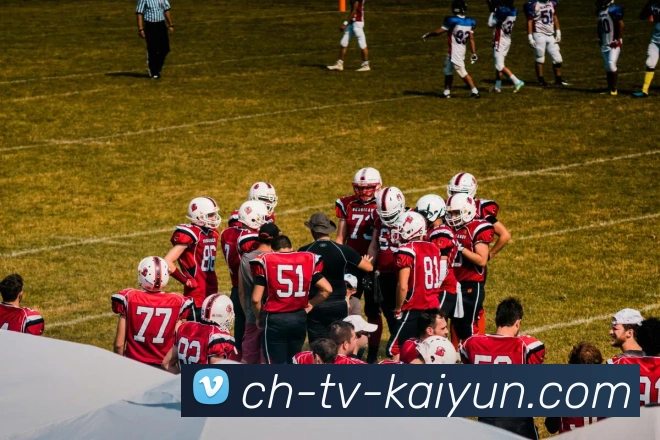 开云平台生态图